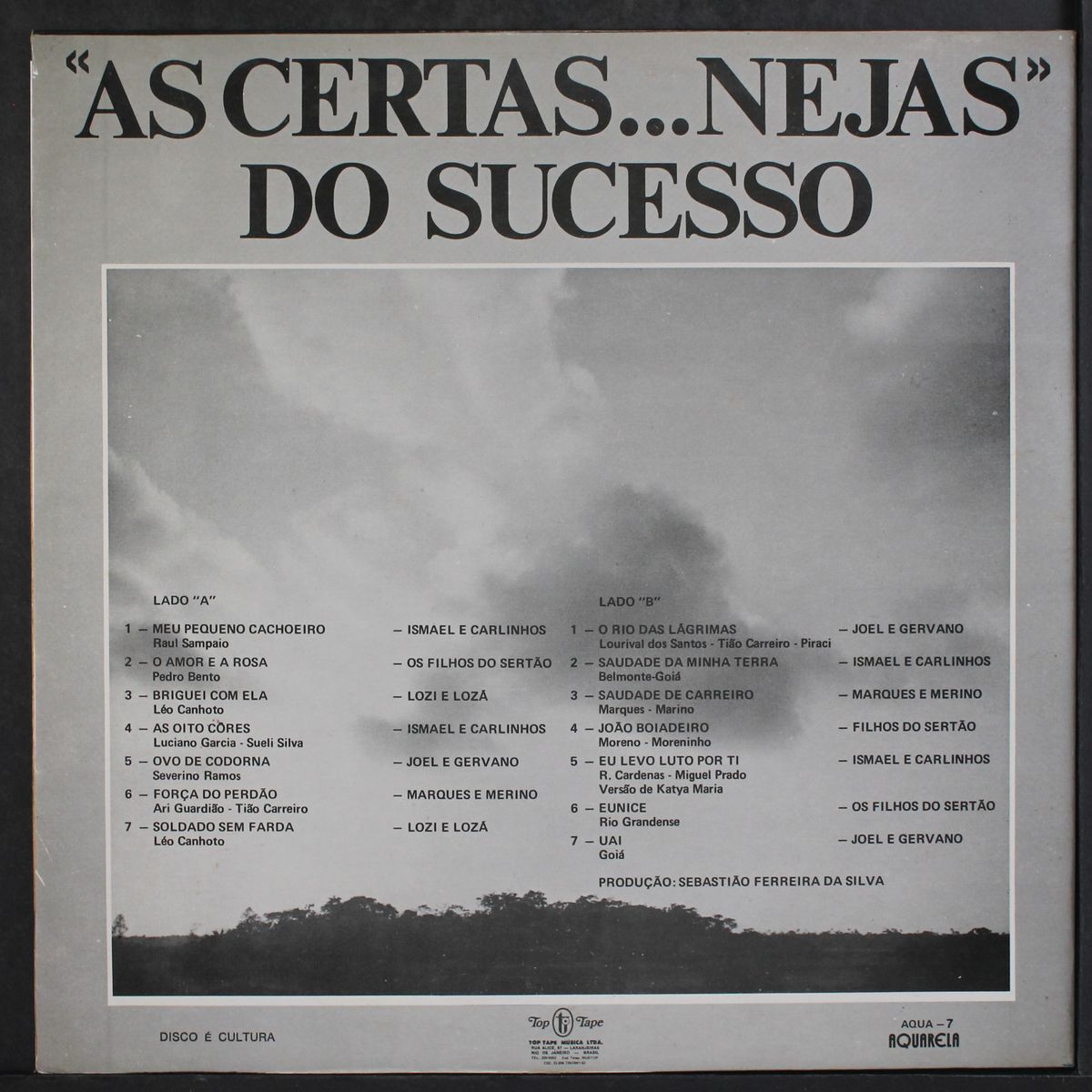 as certas . . . nejas do sucesso by VARIOUS