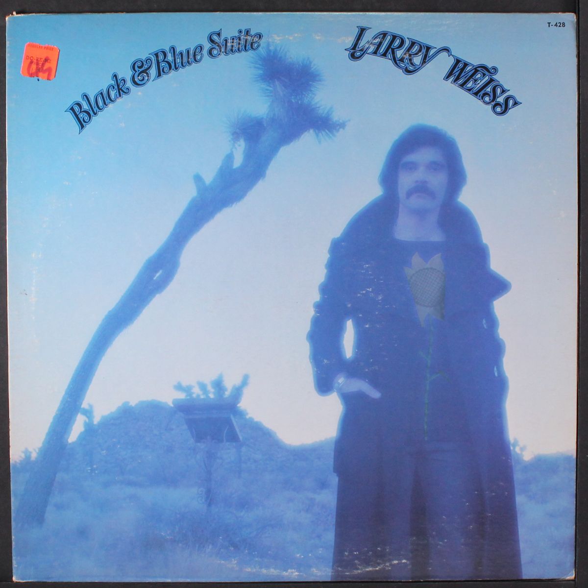 black & blue suite by LARRY WEISS