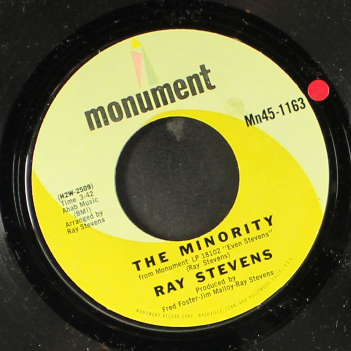 sunday mornin' comin' down / the minority by RAY STEVENS