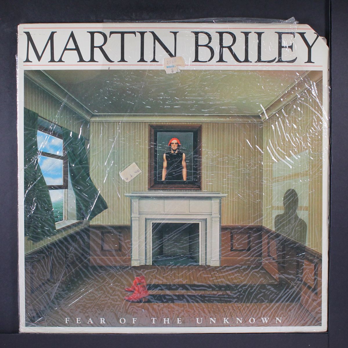 fear of the unknown by MARTIN BRILEY