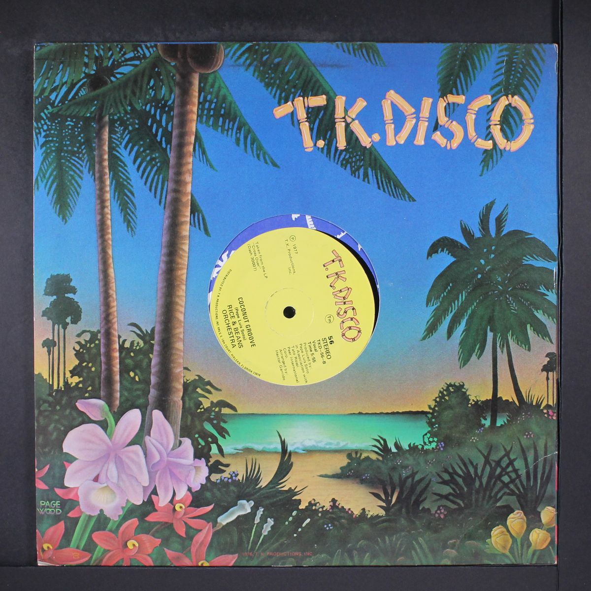 you've got magic / coconut groove by RICE & BEANS ORCHESTRA