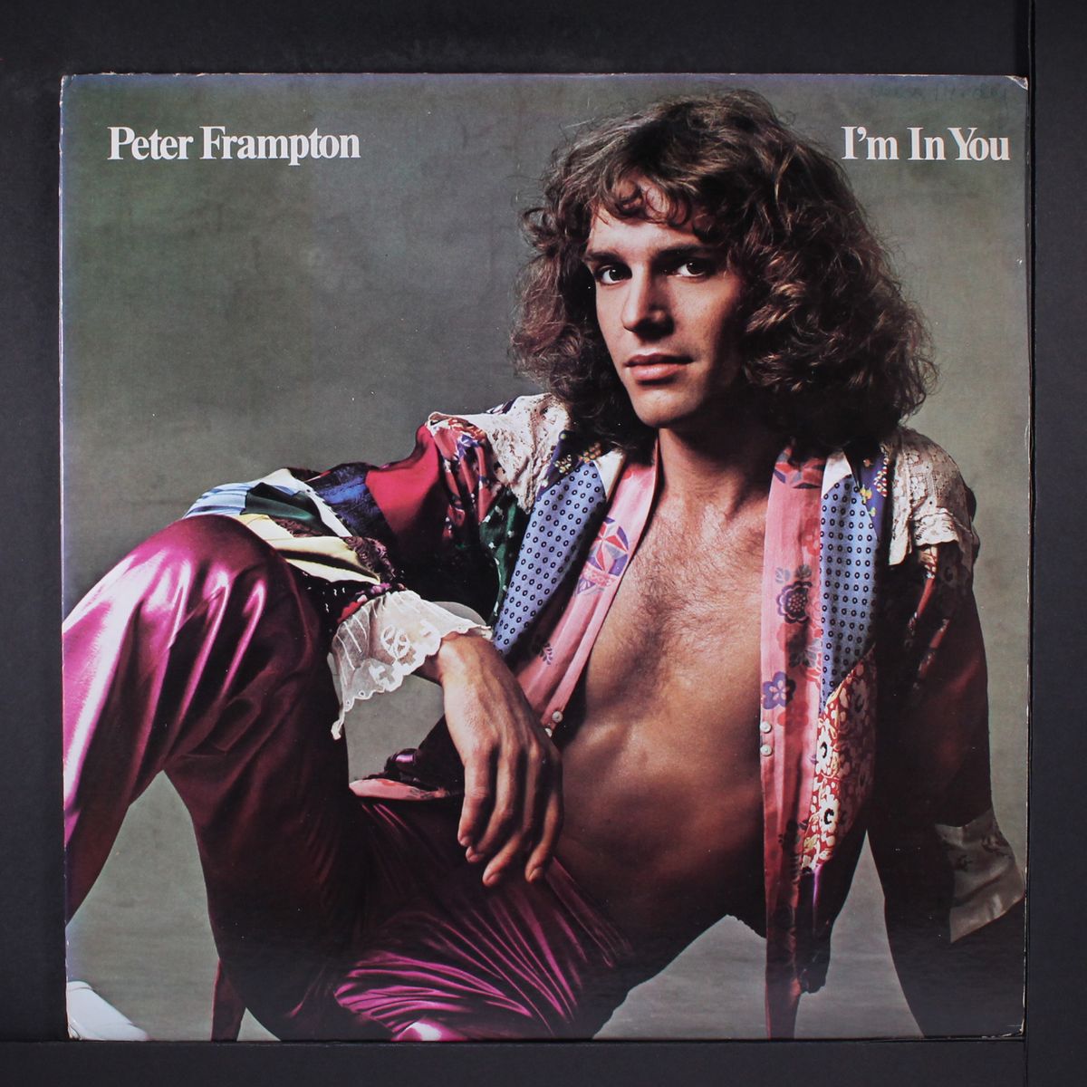 i'm in you by PETER FRAMPTON