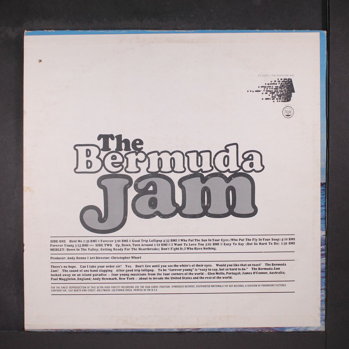 the bermuda jam by BERMUDA JAM