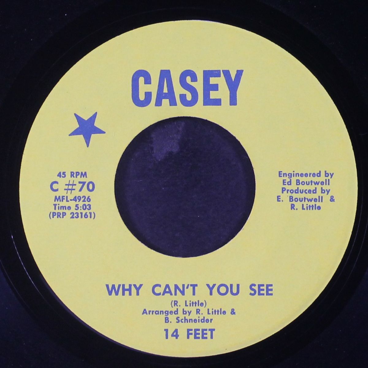 when i told her goodbye / why can't you see by 14 FEET