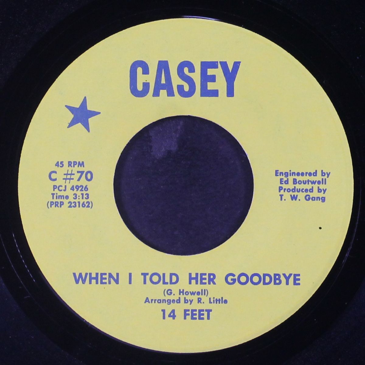 when i told her goodbye / why can't you see by 14 FEET