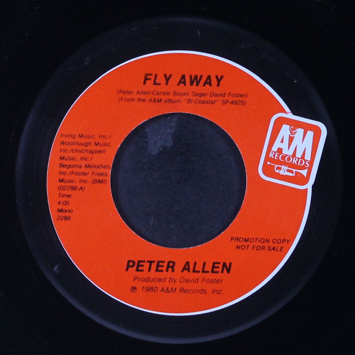 fly away / mono by PETER ALLEN