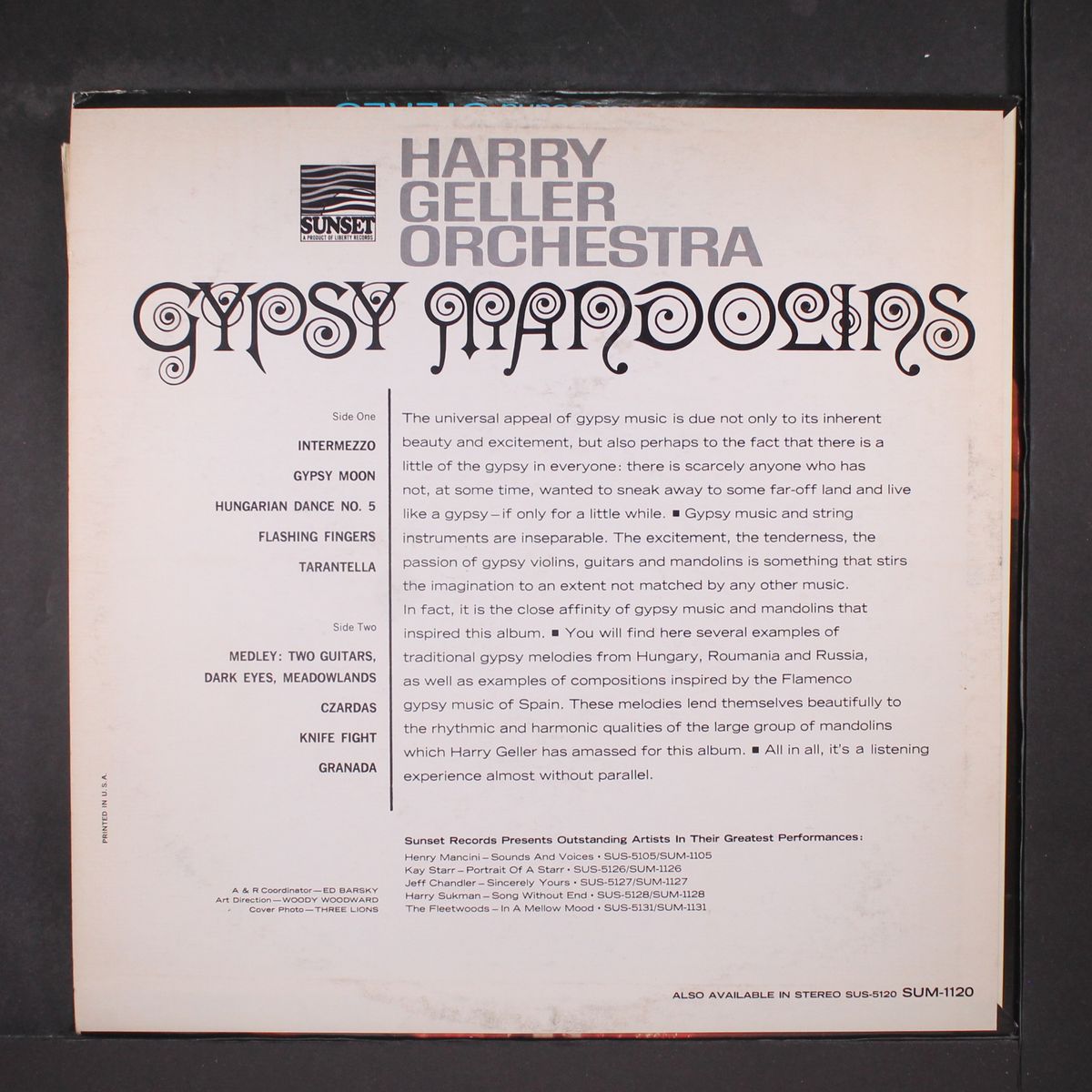 gypsy mandolins by HARRY GELLER