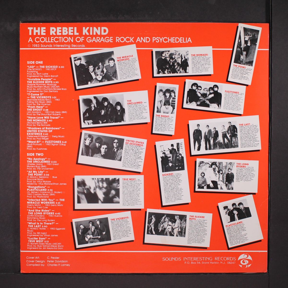 the rebel kind by VARIOUS