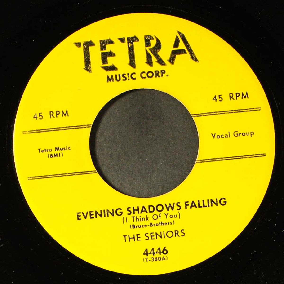 evening shadows falling / i've got plenty of love by SENIORS