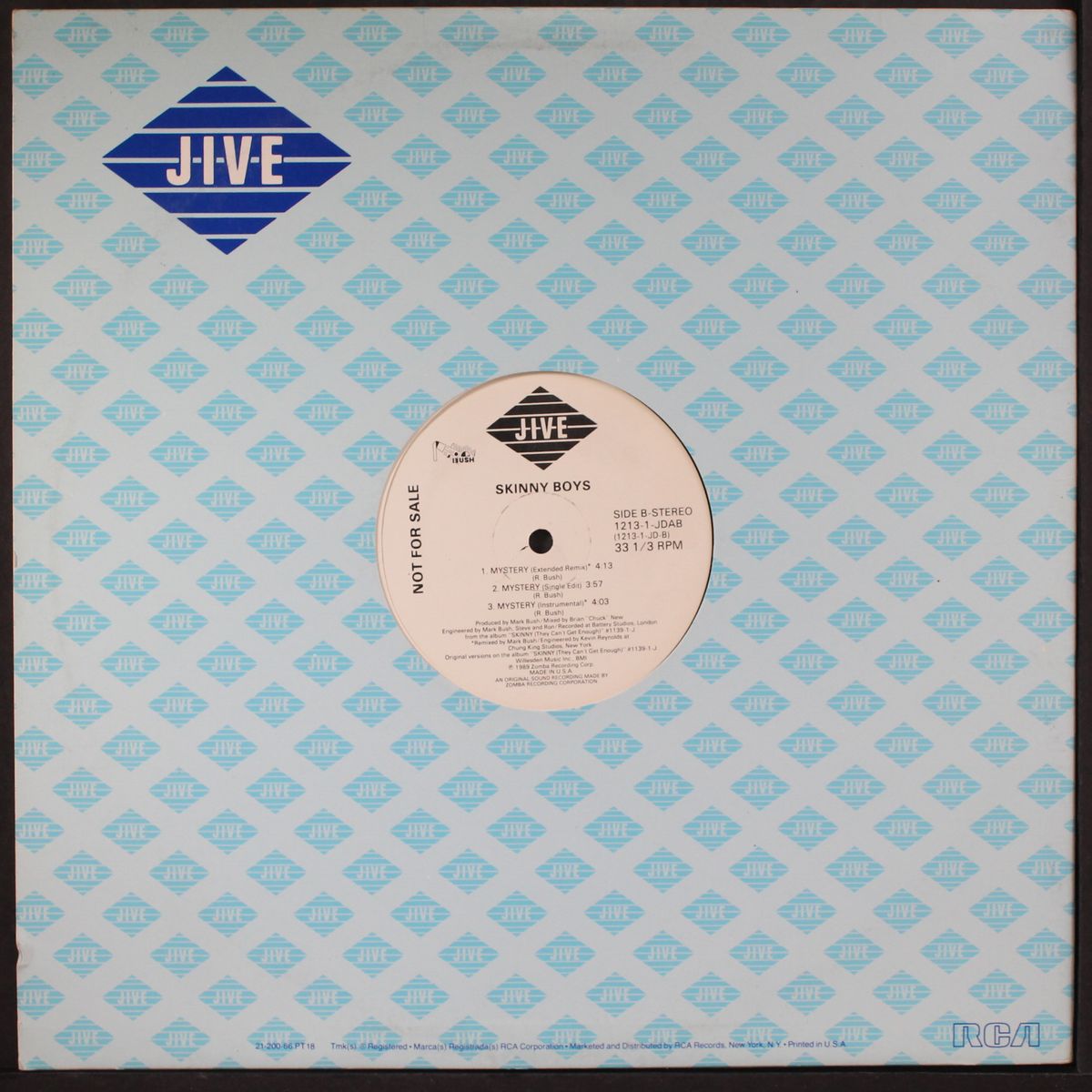 skinny / mystery by SKINNY BOYS