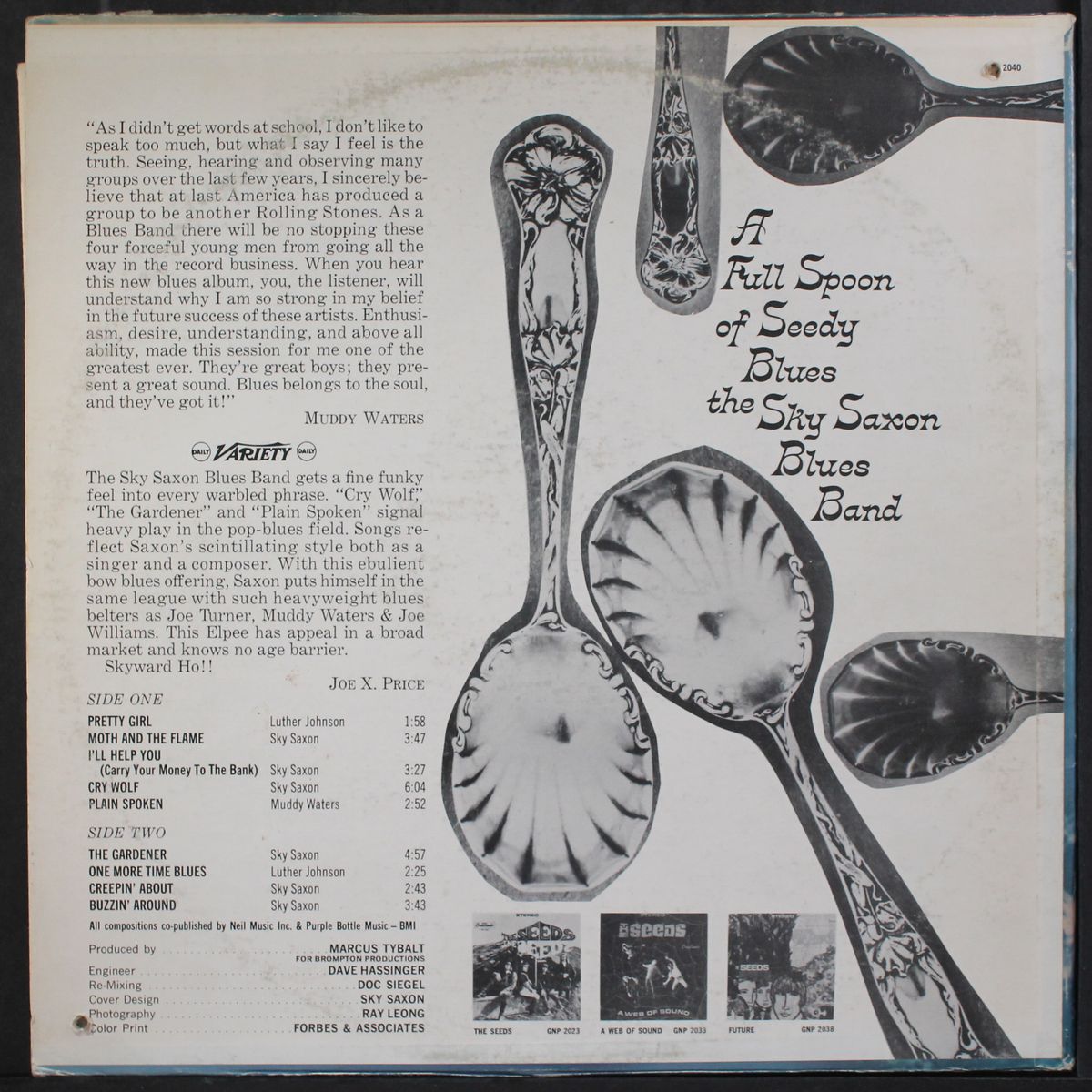 a full spoon of seedy blues by SKY SAXON BLUES BAND
