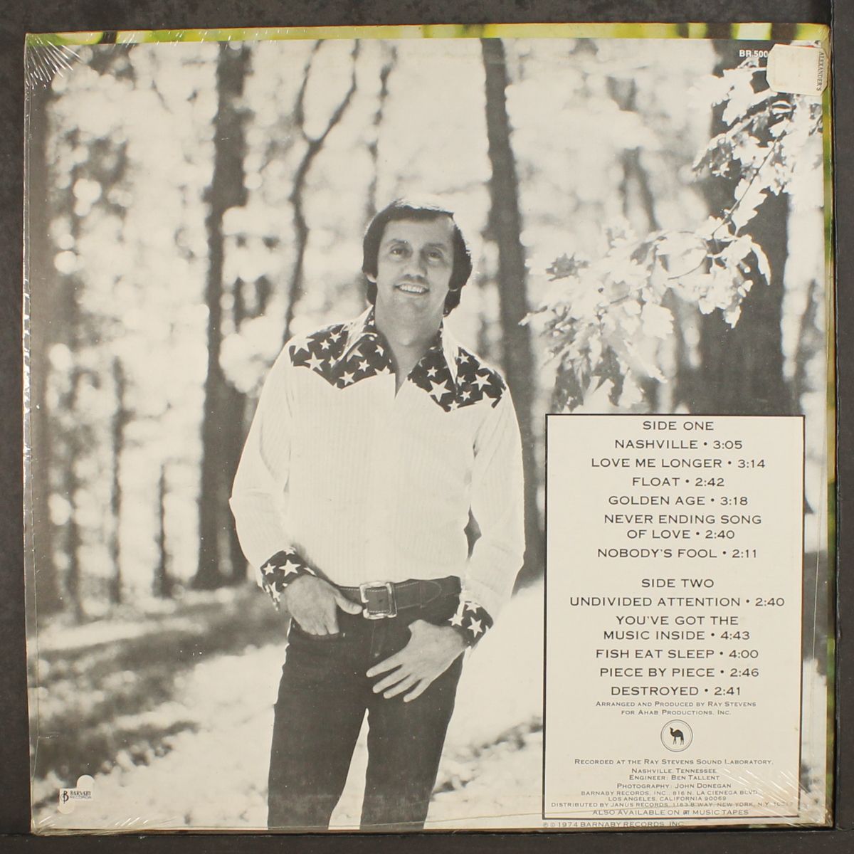 nashville by RAY STEVENS