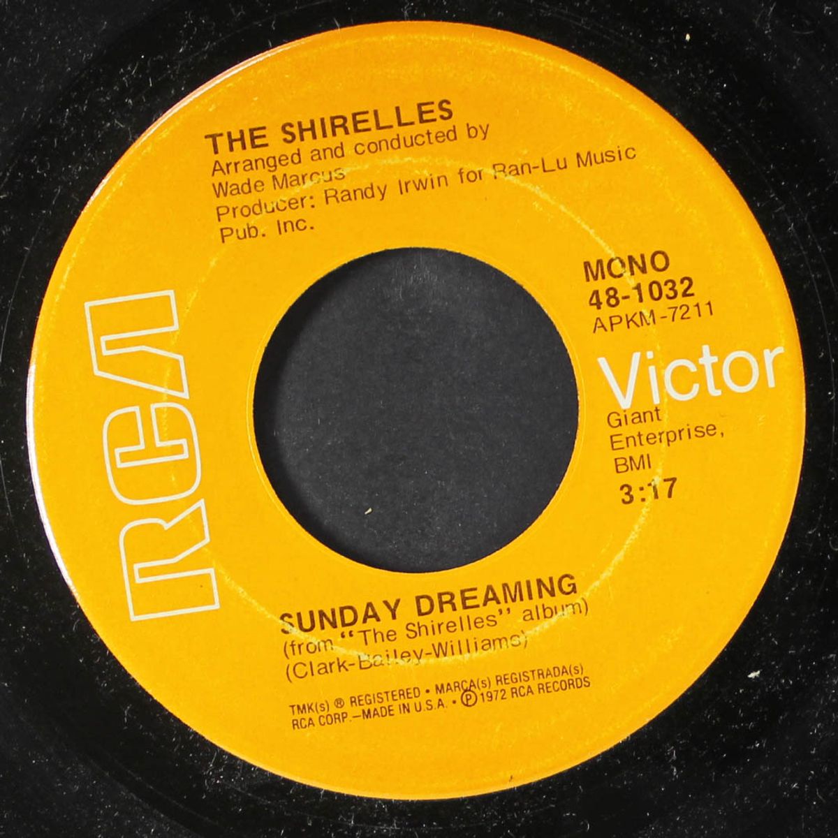 sunday dreaming / brother, brother by SHIRELLES