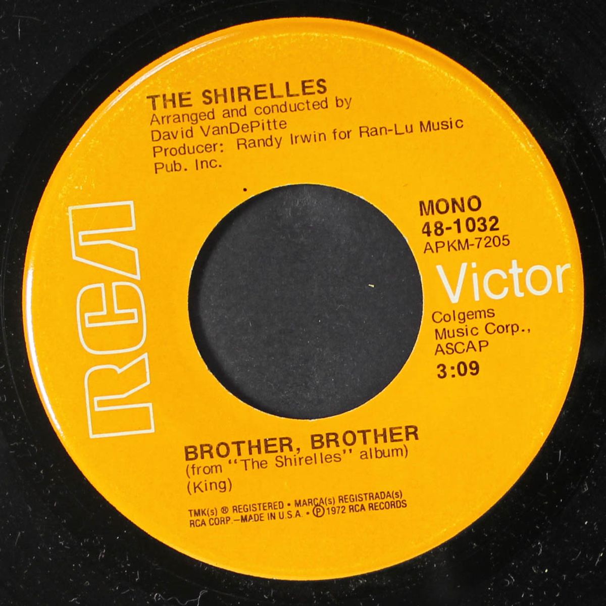 sunday dreaming / brother, brother by SHIRELLES