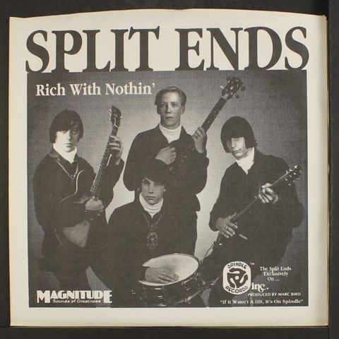 SPLIT ENDS