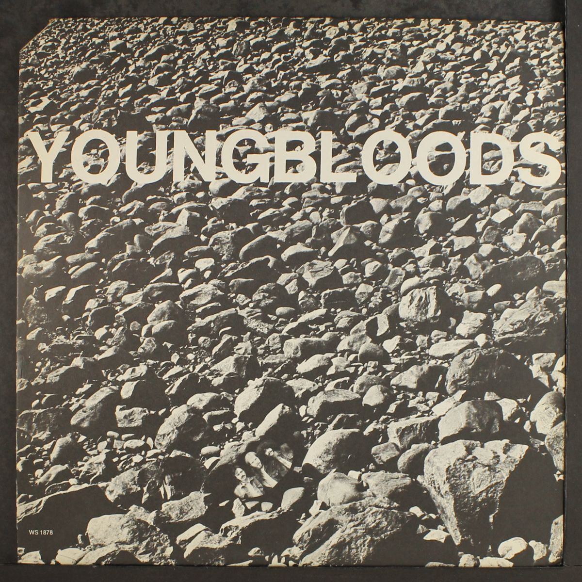 rock festival by YOUNGBLOODS