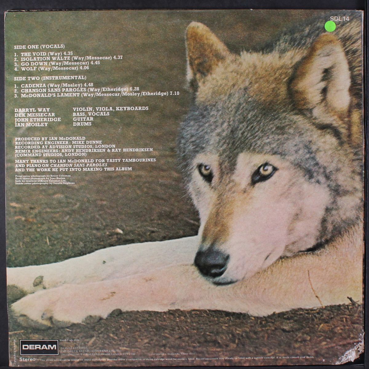 canis lupus by DARRYL WAY'S WOLF