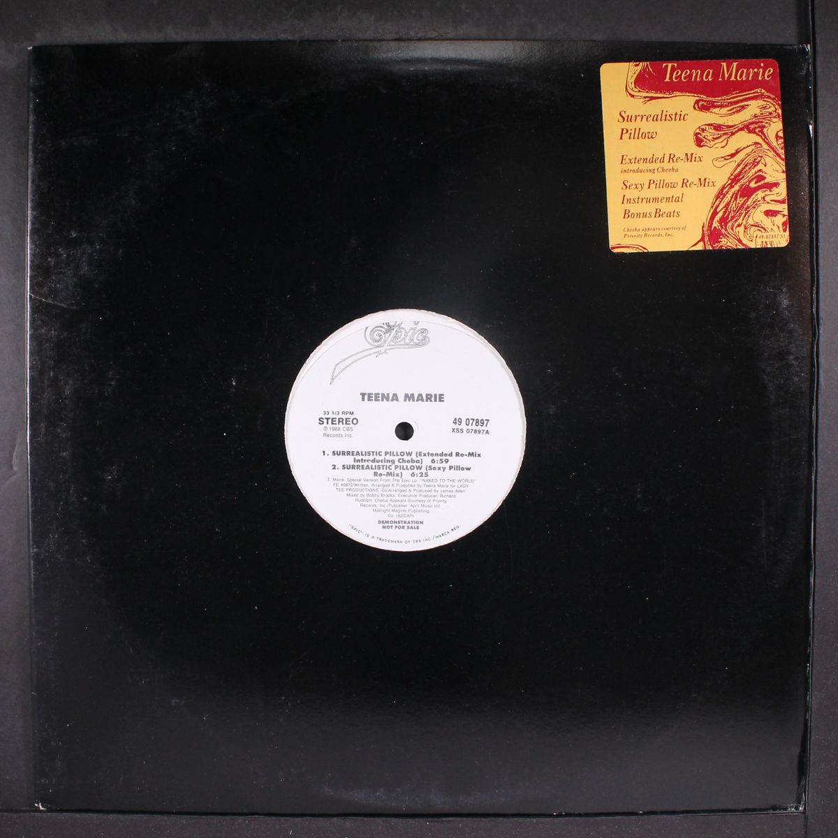 surrealistic pillow / instro & bonus beats by TEENA MARIE