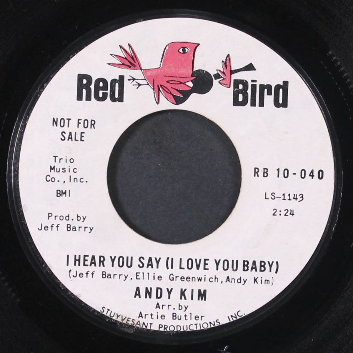 i hear you say by ANDY KIM