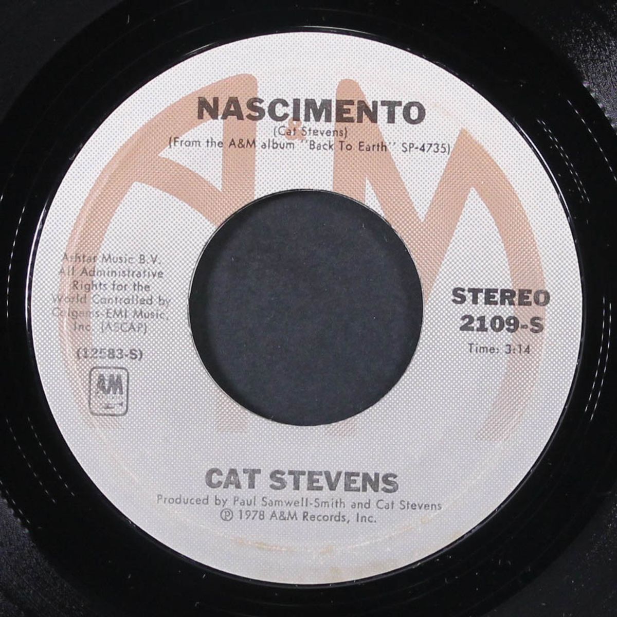 bad brakes by CAT STEVENS