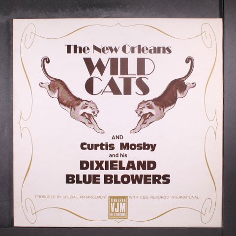 NEW ORLEANS WILD CATS