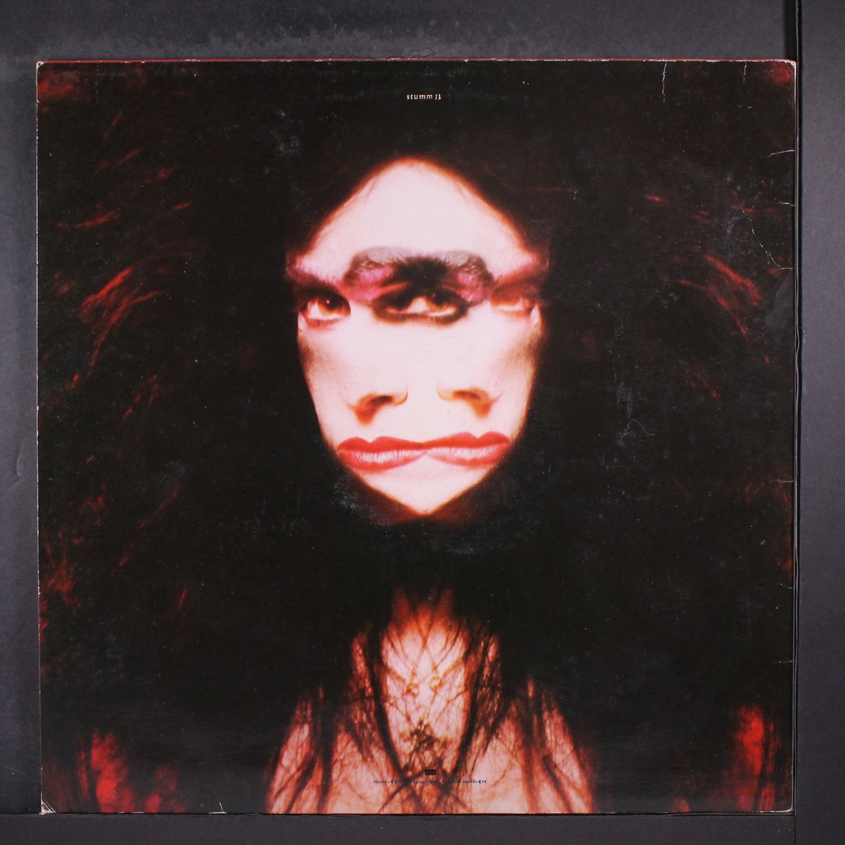 saint of the pit by DIAMANDA GALAS