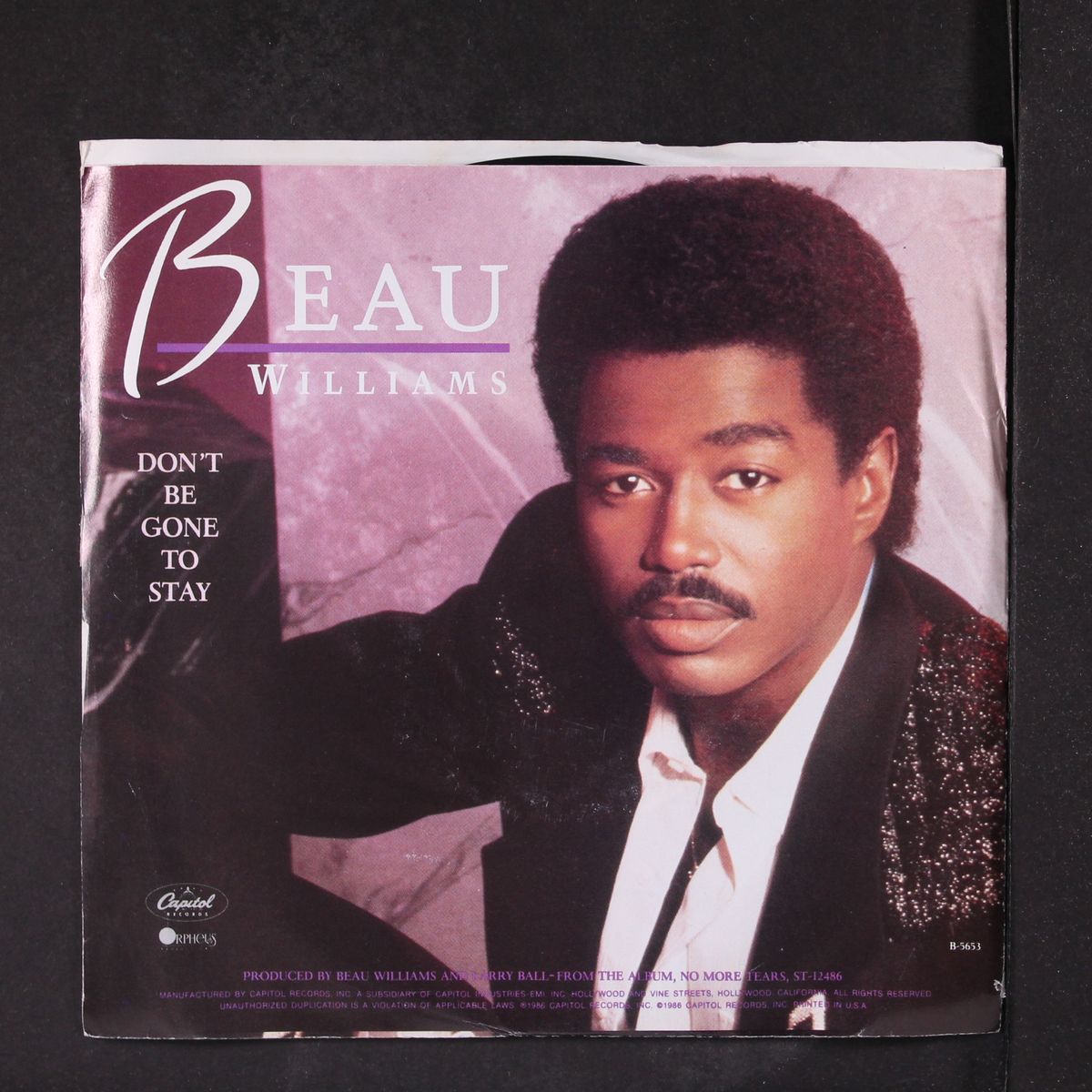 don't be gone to stay by BEAU WILLIAMS