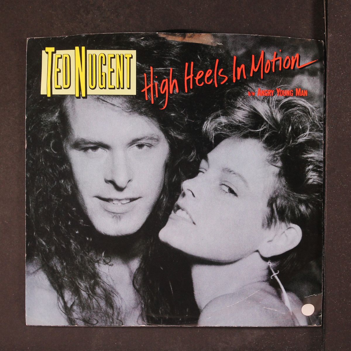 high heels in motion / same by TED NUGENT