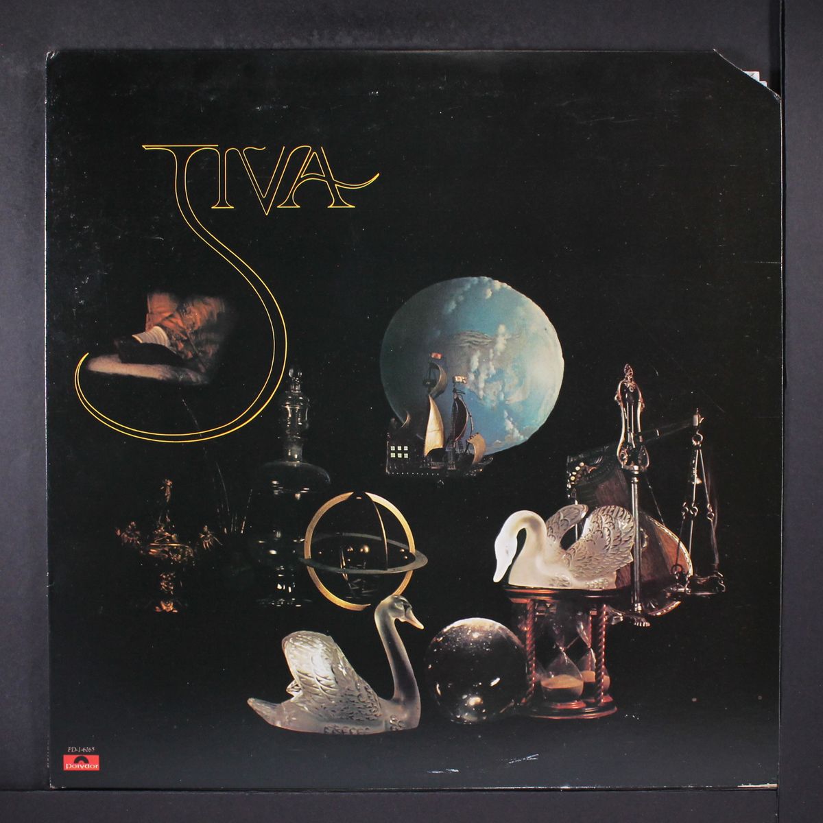 still life by JIVA