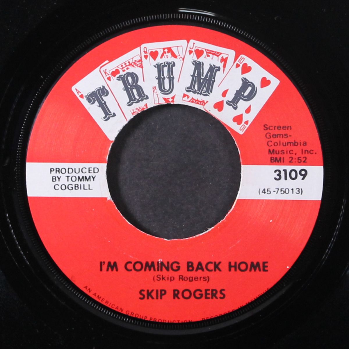 he sang a good song / i'm coming back home by SKIP ROGERS