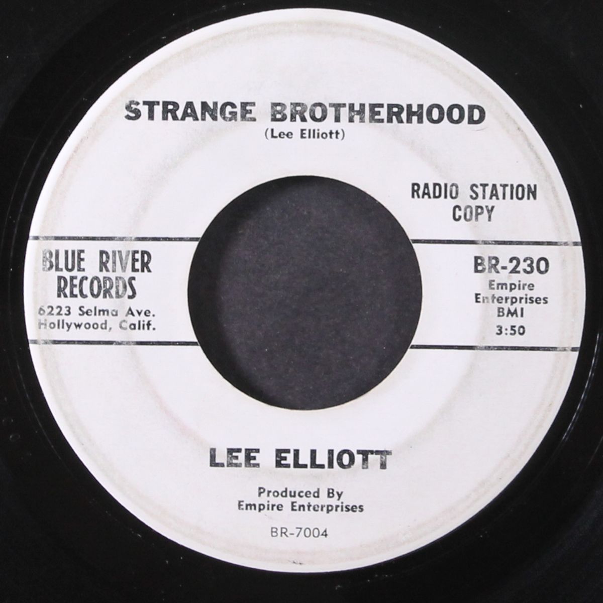 strange brotherhood / you could care less by LEE ELLIOTT