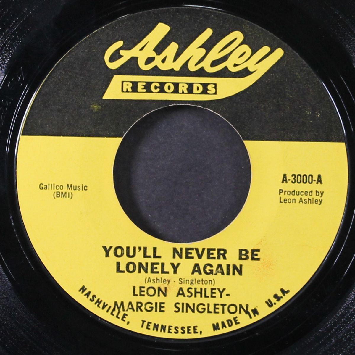 you'll never be lonely again by LEON ASHLEY & MARGIE SINGLETON