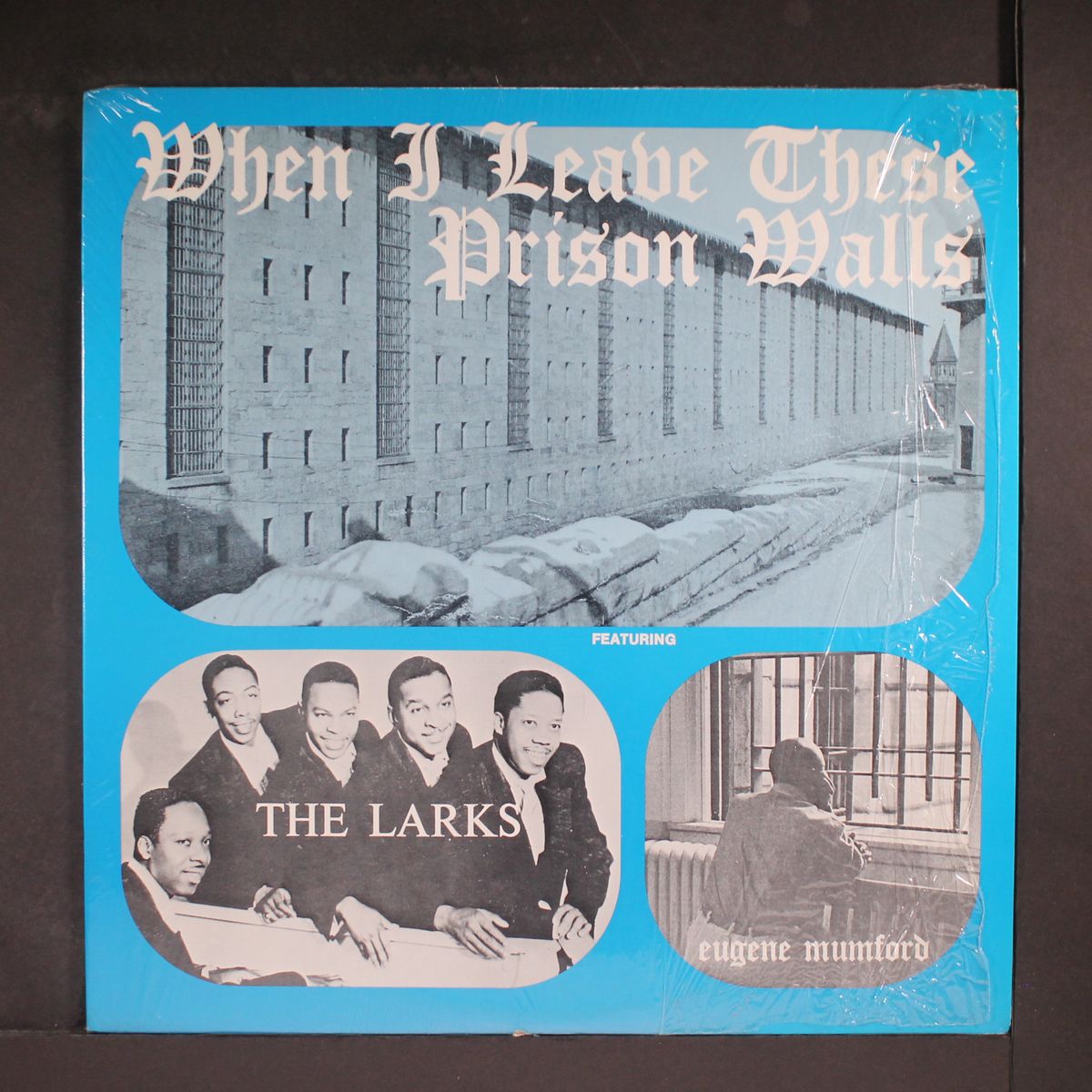 when i leave these prison walls by LARKS