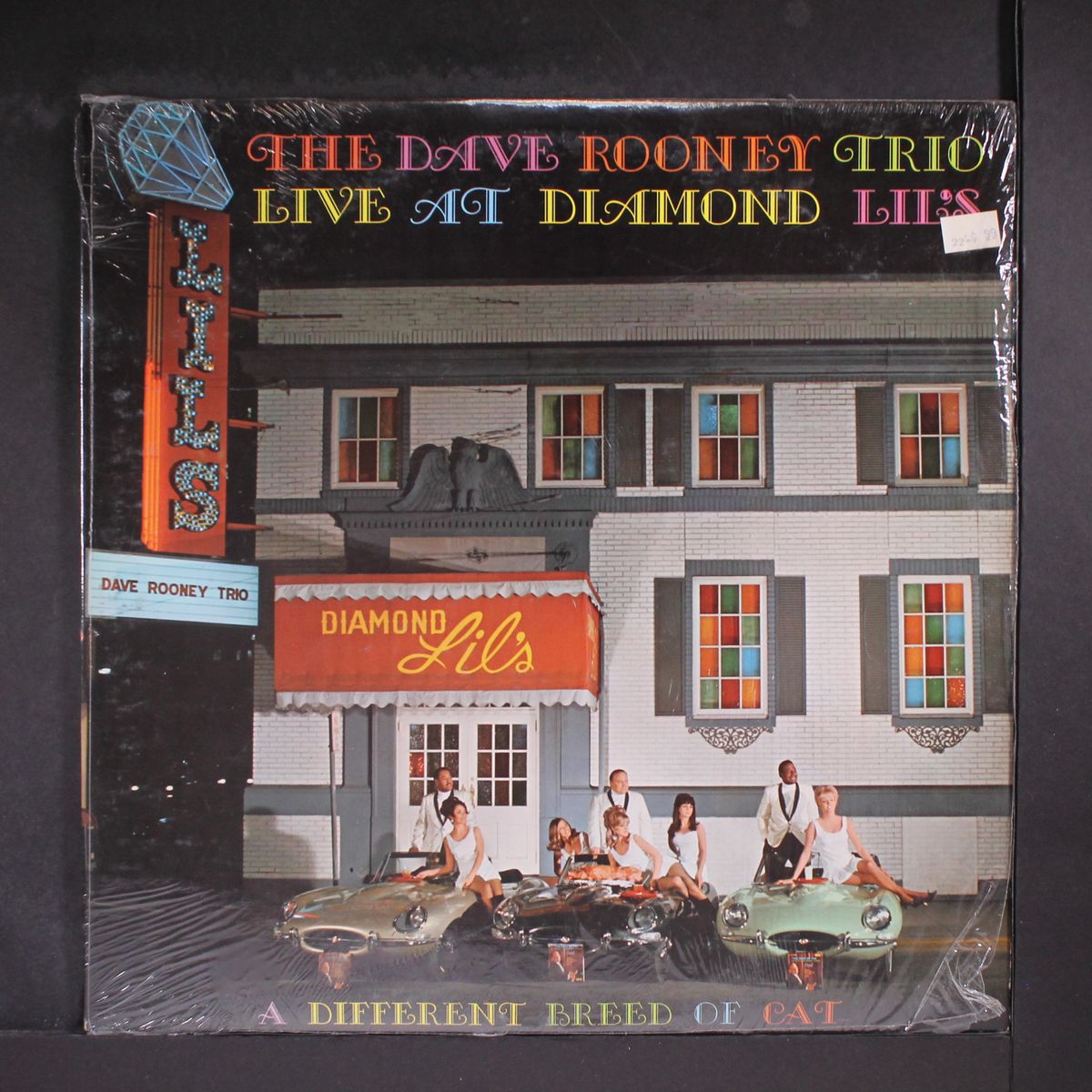 live at diamond lil's by DAVE ROONEY TRIO