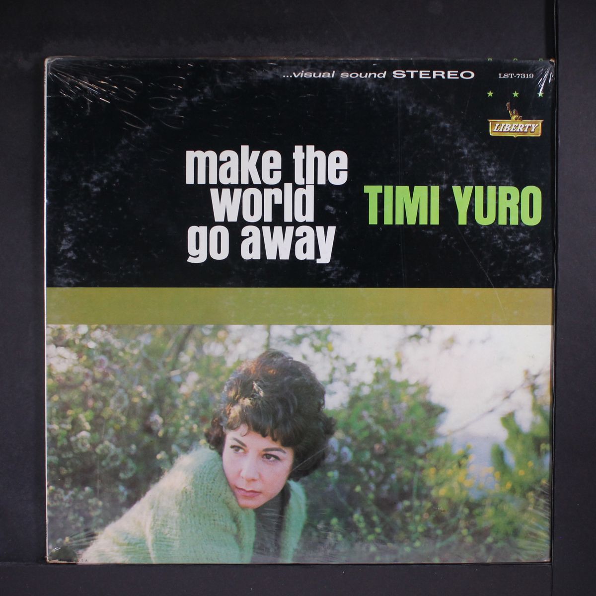 make the world go away by TIMI YURO