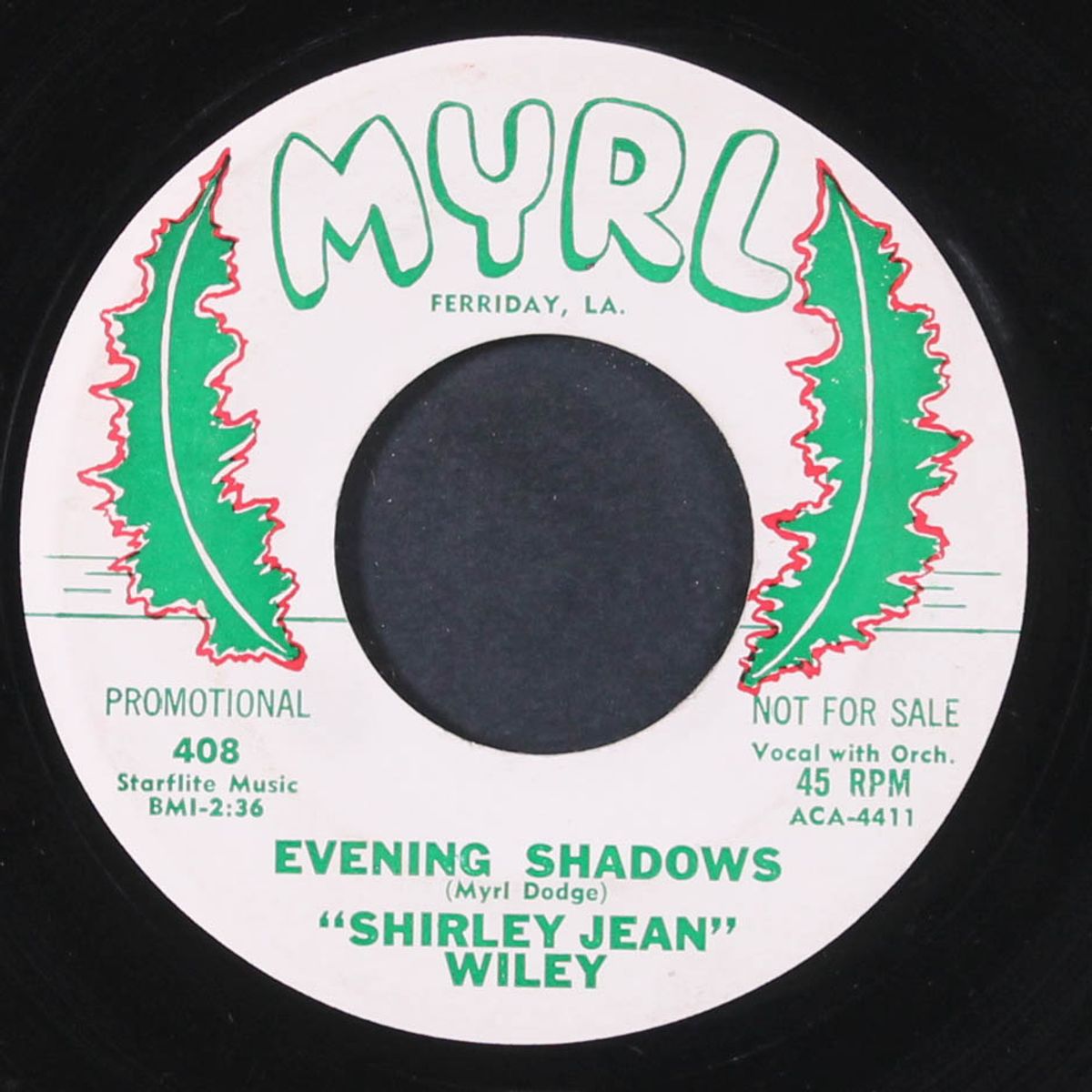 long tall sally / evening shadows by SHIRLEY JEAN WILEY