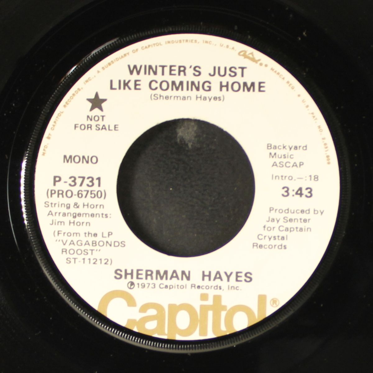 winter's just like coming home by SHERMAN HAYES