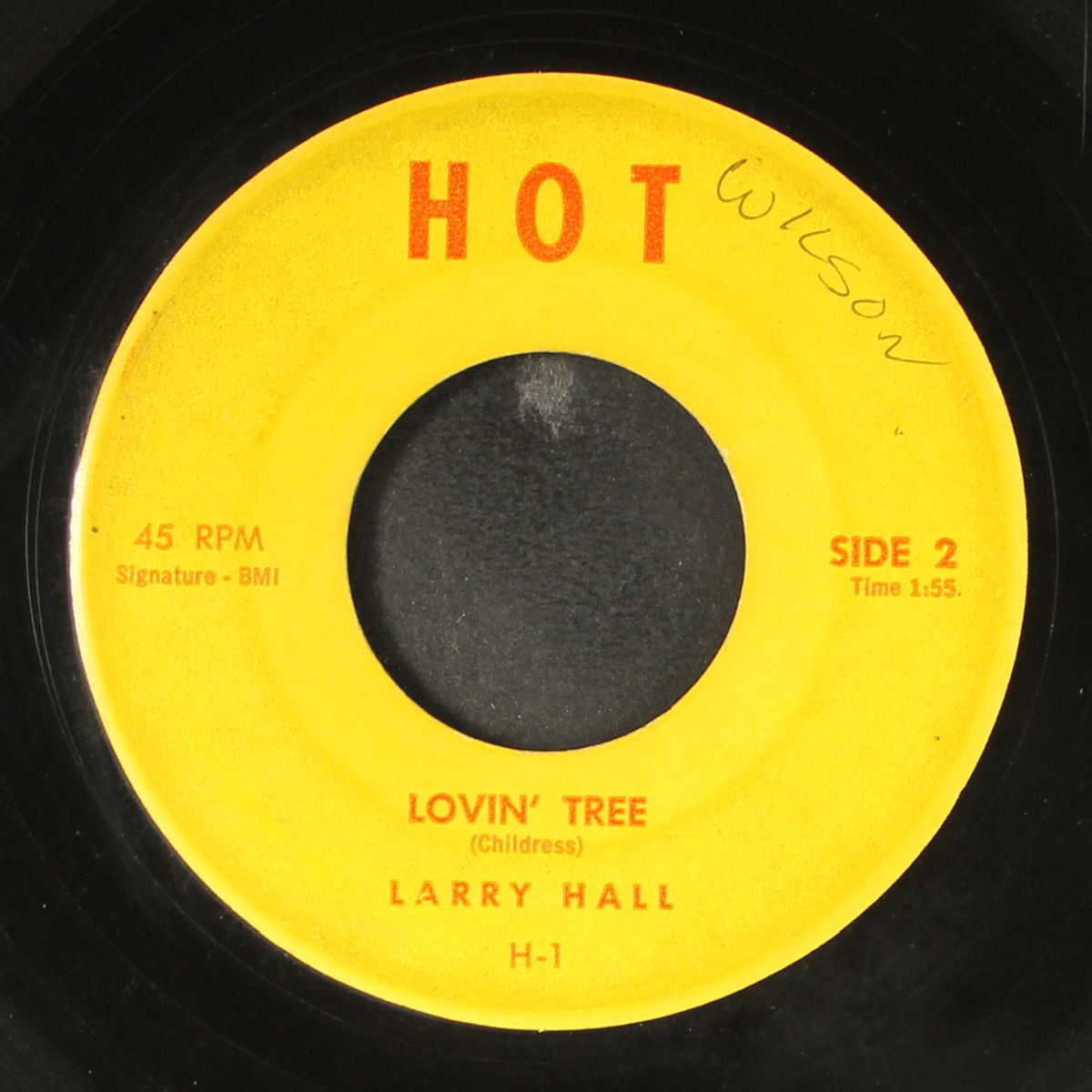sandy / lovin' tree by LARRY HALL