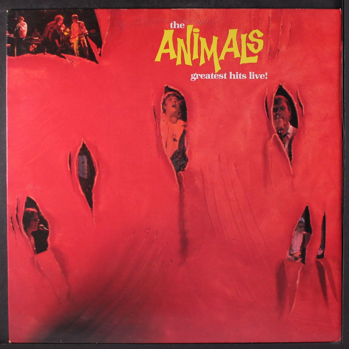 greatest hits live! by ANIMALS
