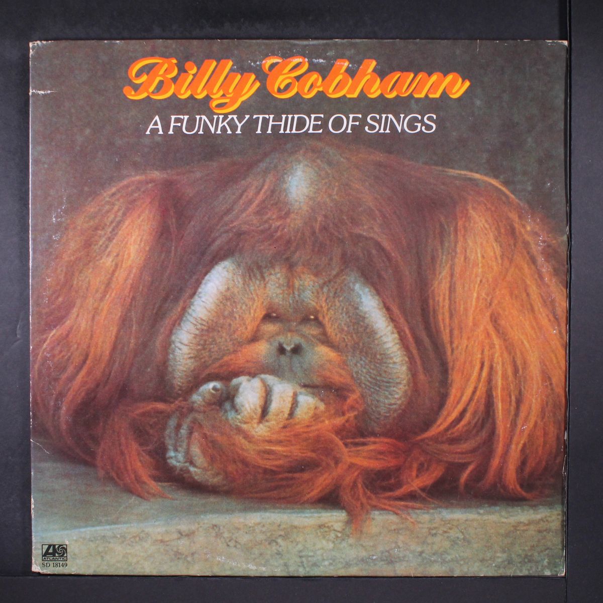 a funky thide of sings by BILLY COBHAM