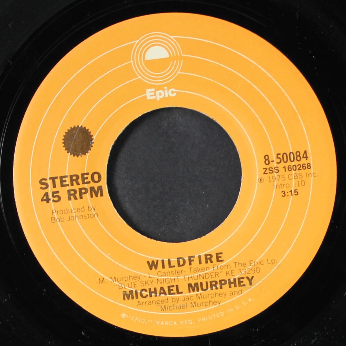 night thunder / wildfire by MICHAEL MURPHEY