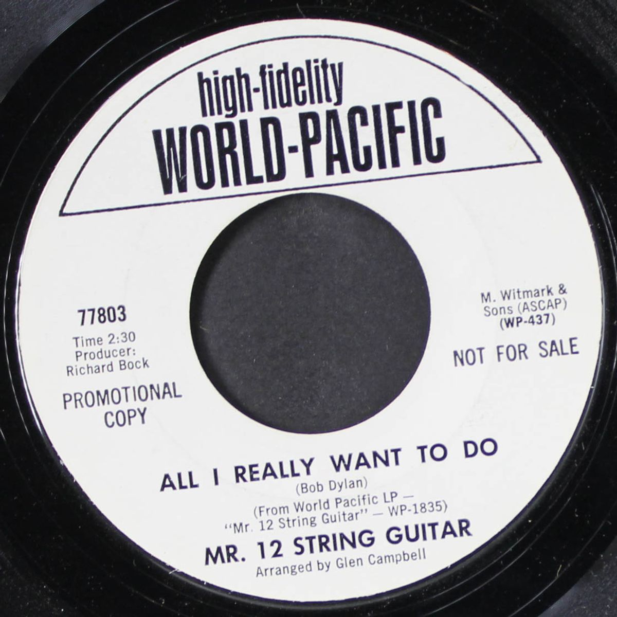 subterranean homesick blues by MR. 12 STRING GUITAR