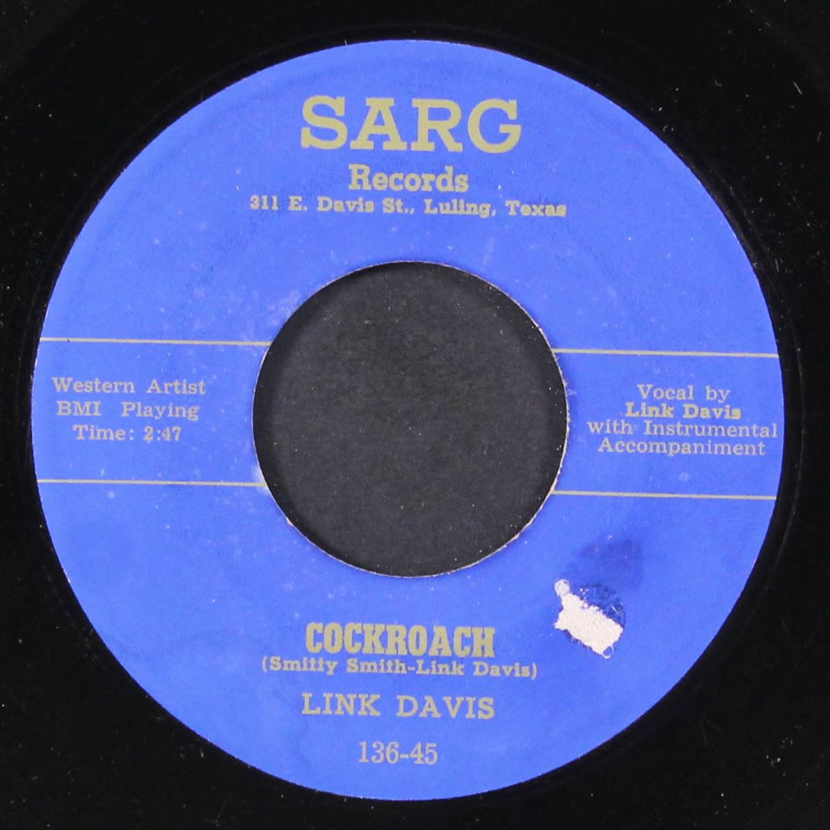 cockroach / big houston by LINK DAVIS