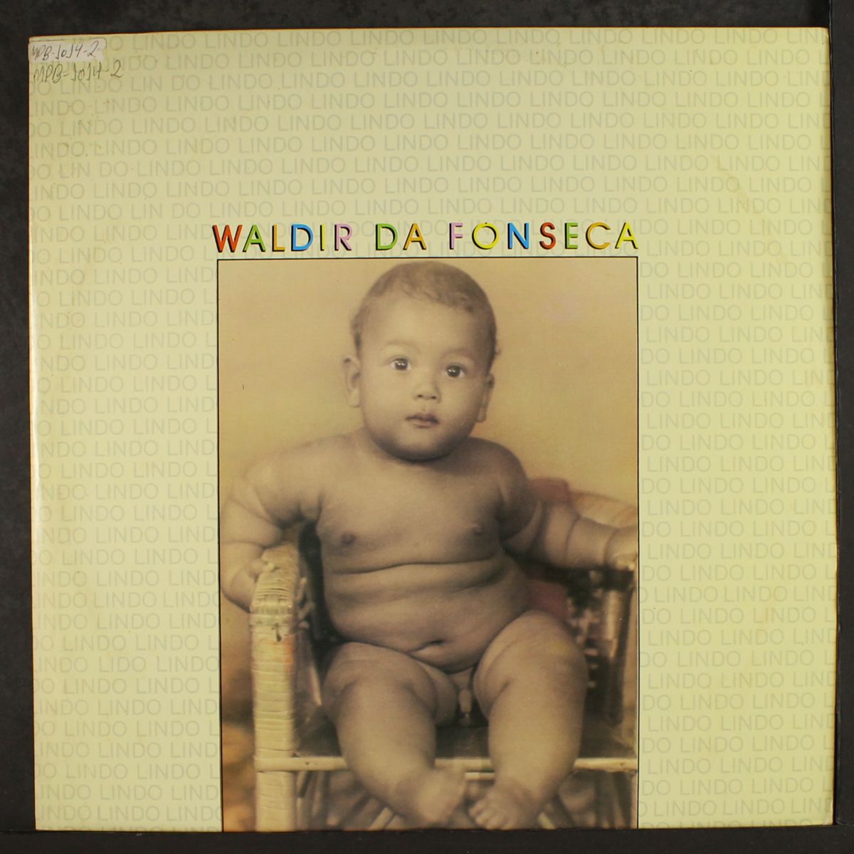 lindo lindo lindo by WALDIR DA FONSECA