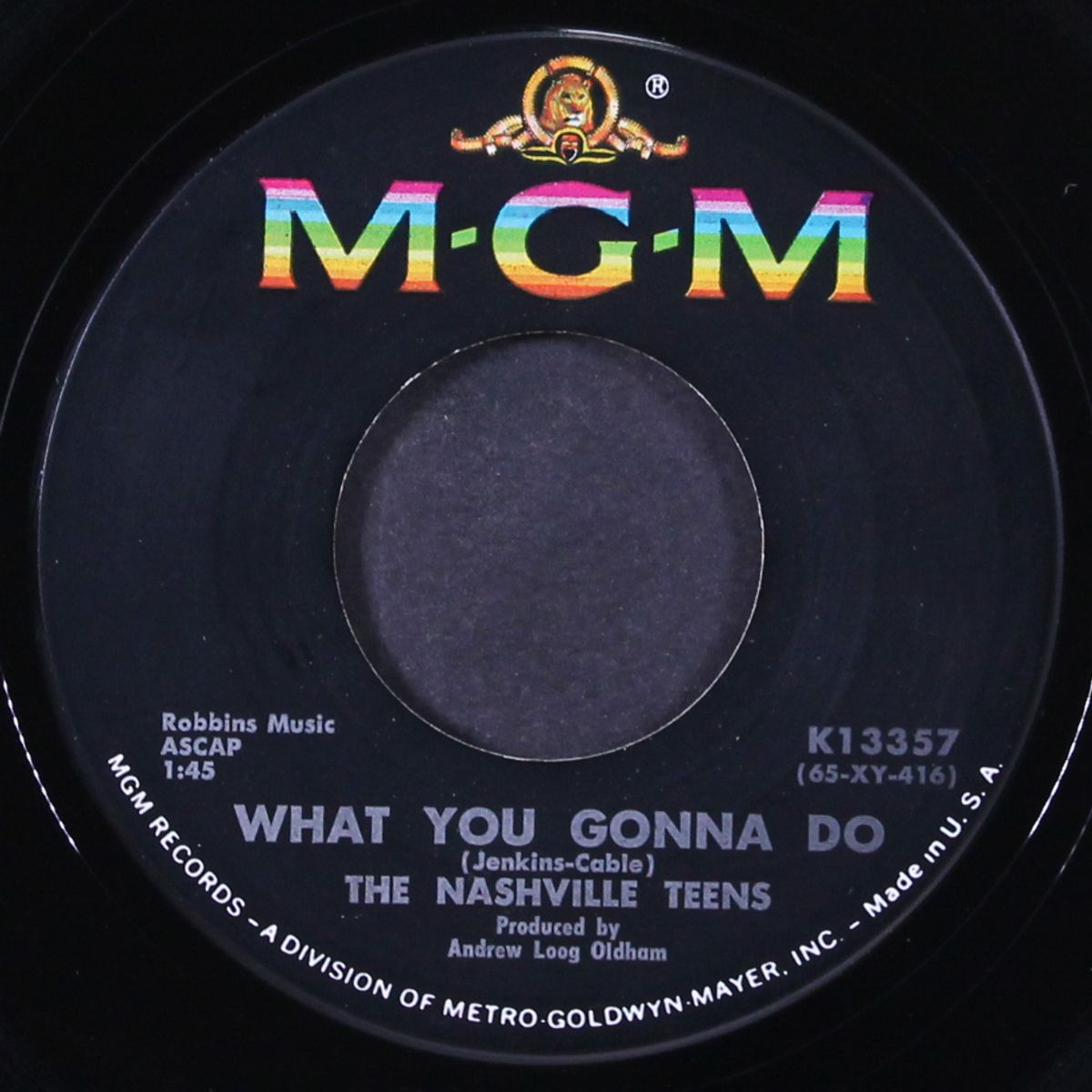 the little bird / what you gonna do by NASHVILLE TEENS