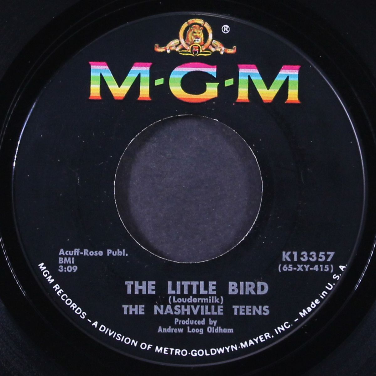the little bird / what you gonna do by NASHVILLE TEENS