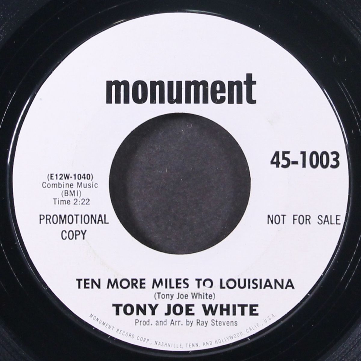 georgia pines by TONY JOE WHITE
