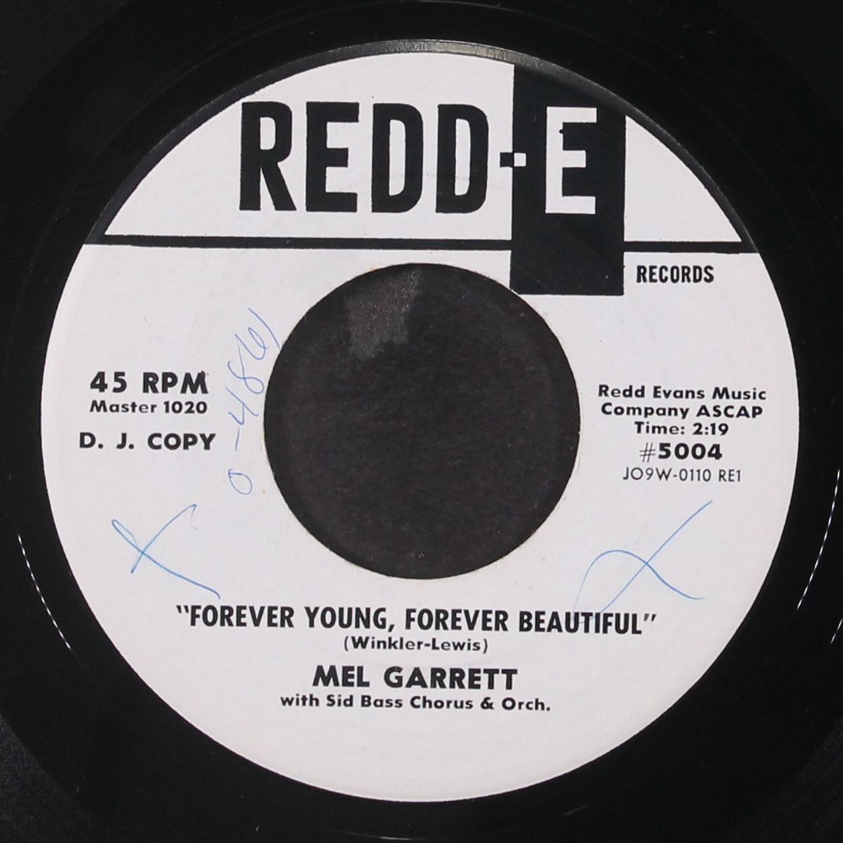 cookie-cookie / forever young, forever beautiful by MEL GARRETT