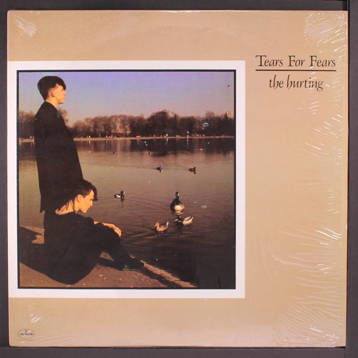 the hurting by TEARS FOR FEARS