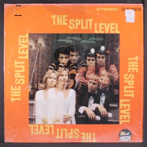 SPLIT LEVEL